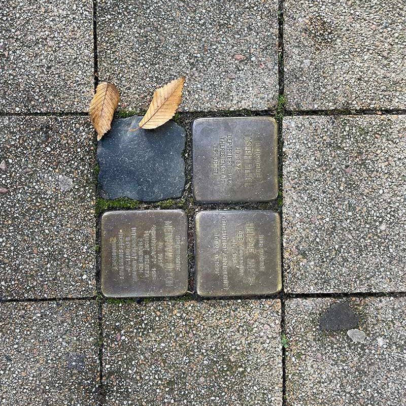 UNESCO-Projettag 11.11.2025