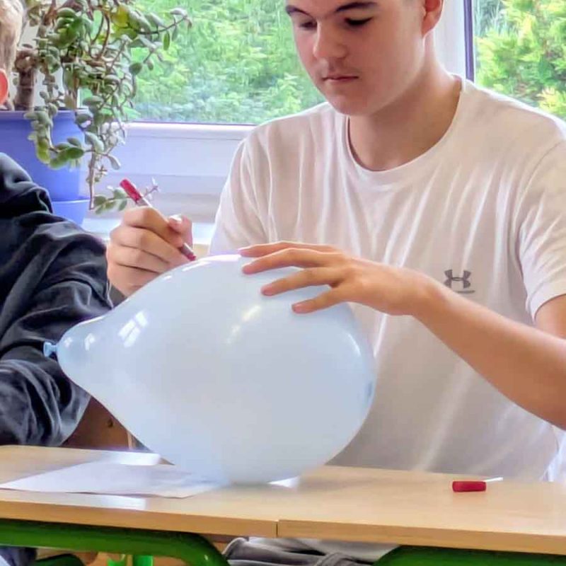 Ozimek14